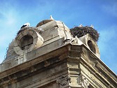 Catedral Nova (2)
