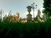 Untitled photo