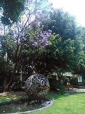 Centro de Enseñanza para Extranjeros 