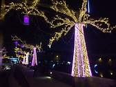 Christmas lights in Laval 