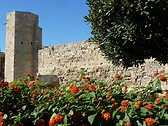 Circo Romano (1)