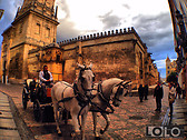 Coche de caballos en La Mezquita.