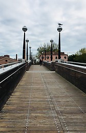 CONTEMPORARY VENICE 2017