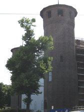 Untitled photo