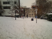 Untitled photo