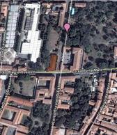 Zdjęcie bez tytułu