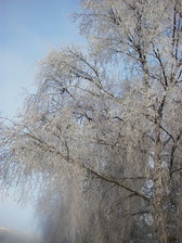 Untitled photo