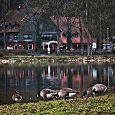 Dechsendorf weiher Erlangen