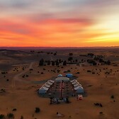 Desert camp 