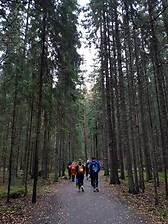 Discovering the Finnish nature