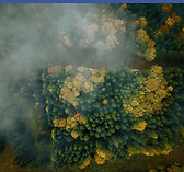 Dron pic