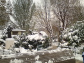 Untitled photo