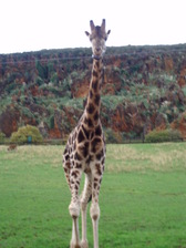 Parque natural Cabárceno