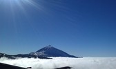 Untitled photo