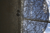 Untitled photo