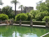 ALCÁZAR
