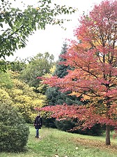 Erasmus in saarbrucken 