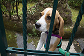 Esperando...