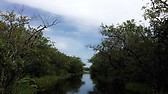 Everglades
