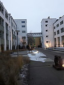 Expo "Bestiary 2.0" by Mariola Wawrzusiak scuplture