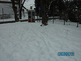 ferrara winter