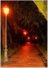 İsimsiz fotoğraf