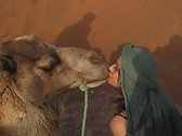http://traveling-in-morocco.com/
