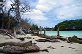 Ile des Pins