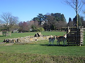 In the park Tête d'Or