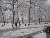 Kongresni trg nevado