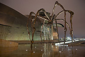 La Araña