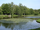 Lac
