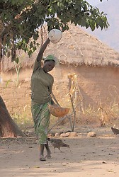 Le vannage des céréales 
