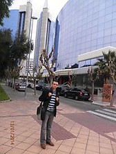 Les tours de Murcia