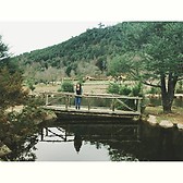 Malalcahuello/Termas