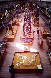 Muséum national d'Histoire naturelle