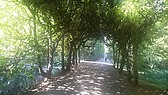 Oliwa Park