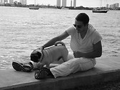 On the bay side