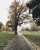 Outono a chegar a Odense