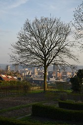 panorama