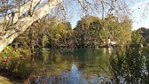 Parc Tete D'Or