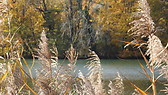 Parc Tete D'Or