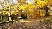 Parc Tete D'Or