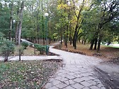 Park ogrod saskia
