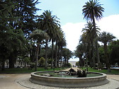 Parque de las Palmeras