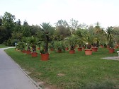 Parque Tivoli