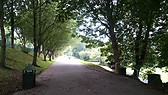 Paseo