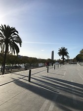 Paseo del Malecón