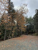 Platania park, Troodos
