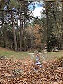 Platania park, Troodos